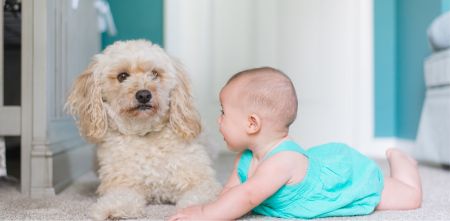 Picture for category Lighting Three