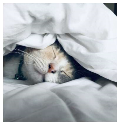 Picture of Relax swing chair